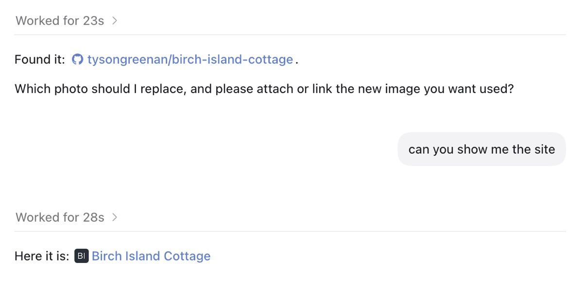 Codex message confirming it found the GitHub repository